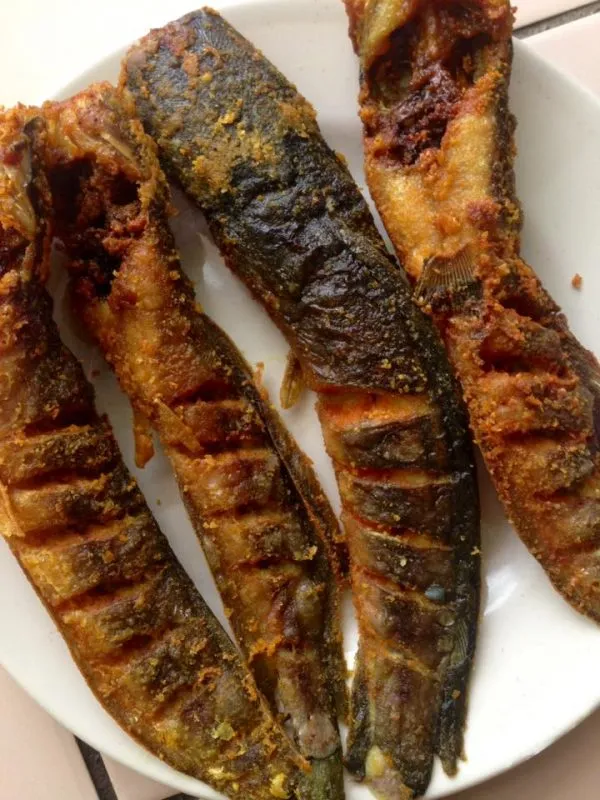 Ikan Keli Goreng
